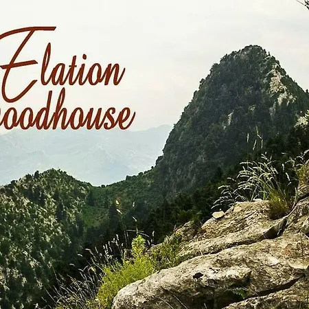 公寓 Elation Woodhouse *