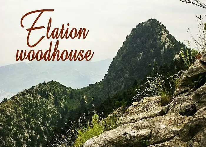 Διαμέρισμα Elation Woodhouse *